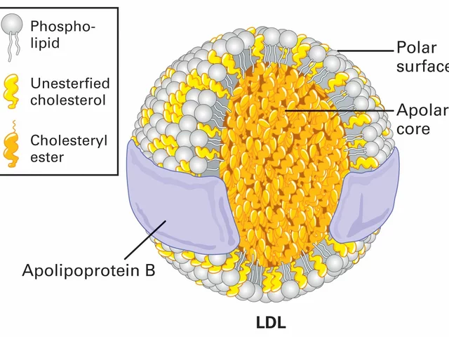 The Role of Low-Density Lipoprotein in Diabetes